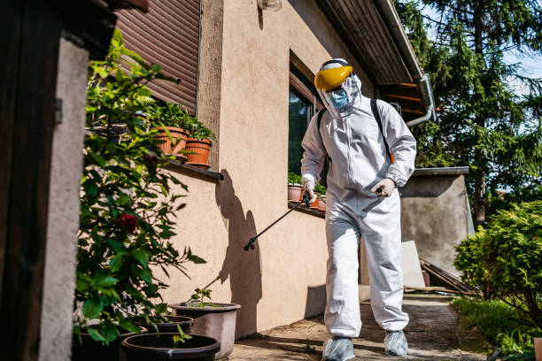 Best Termite Control Services  in Royal Kunia, HI